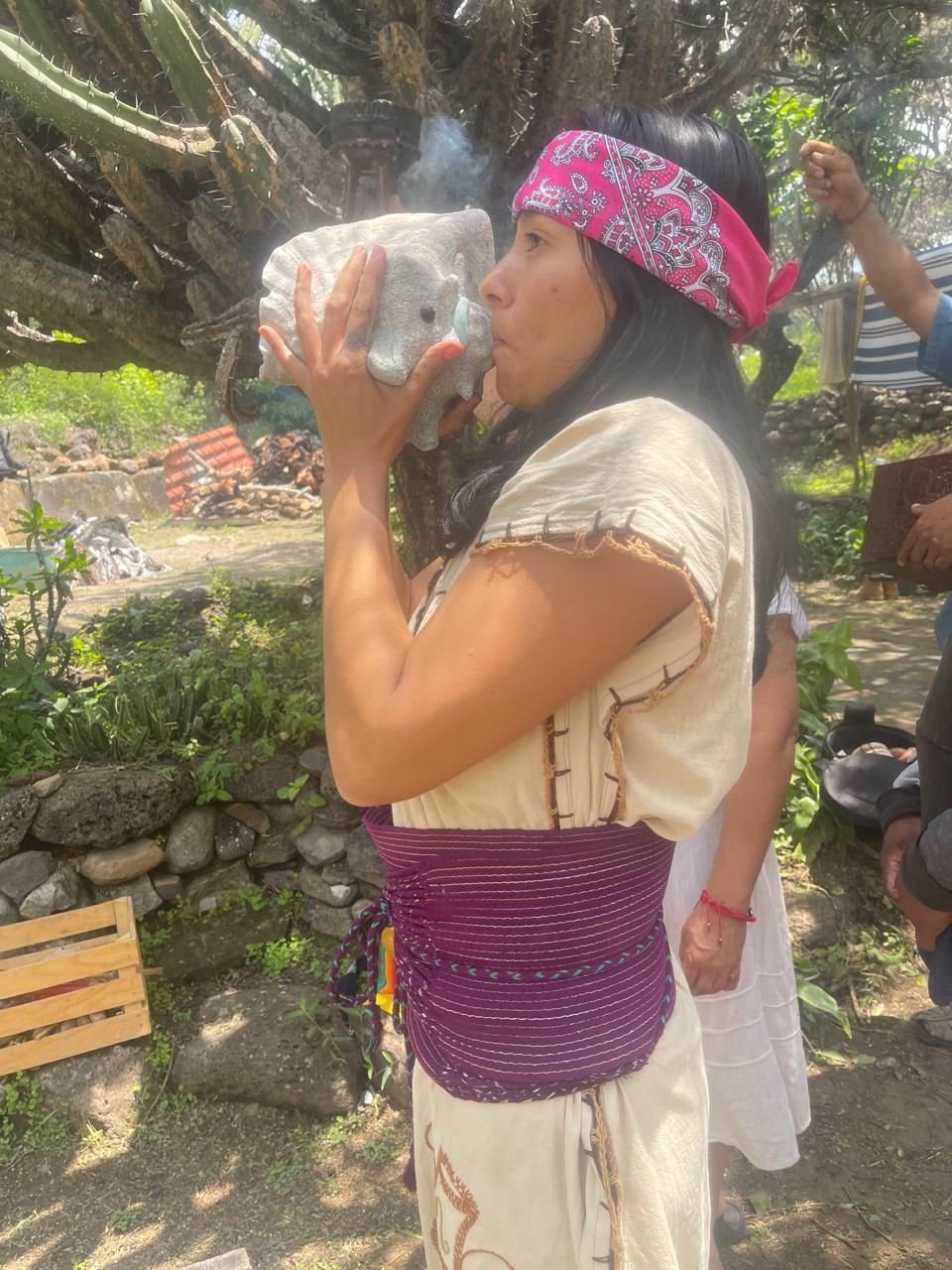 Terapias Energéticas y Armonía